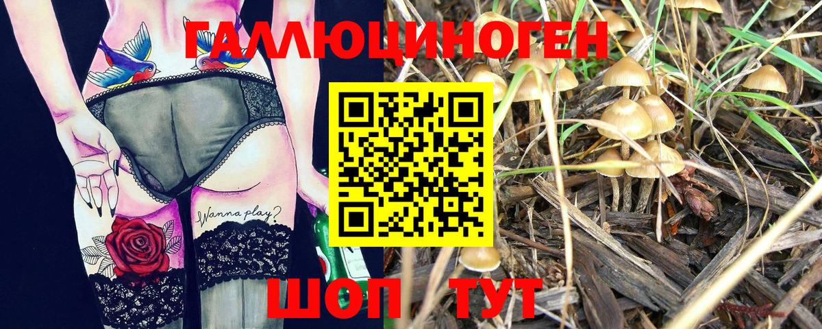 Рязань  Псилоцибиновые грибы мицелий  Вход с VPN 